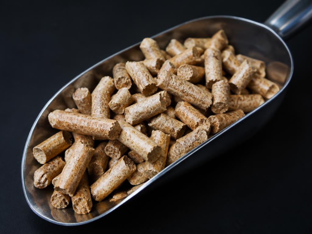 Premium wood pellets in a steel scoop